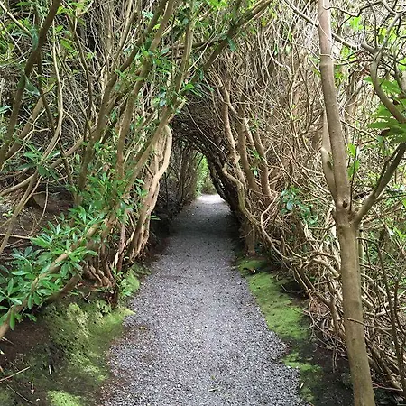 Carrig & Restaurant Киллорглин