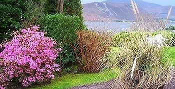 Carrig & Restaurant Casa di campagna *