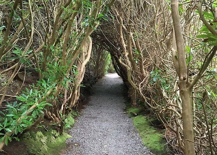 Carrig & Restaurant Killorglin